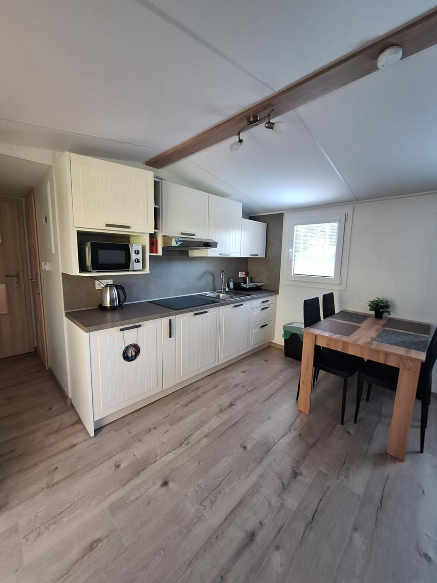 Appartement Arktik Lesni Mlyn à Novy Rychnov Extérieur photo